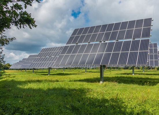 Green Markets Served